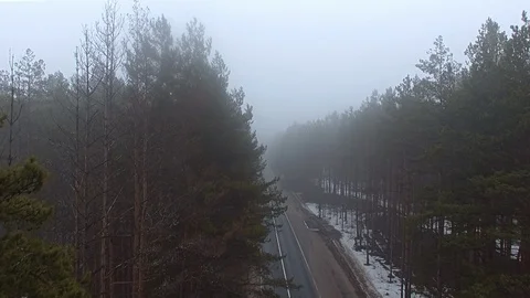 Drone flies through the trees above the forest road into the fog Stock Footage 107741635