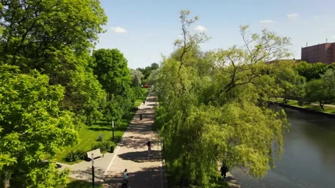 The drone flies through the trees in the park and follows the running athlete Stock Footage 156070346