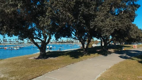 Drone flies through trees to reveal Mission Bay SUP Race San Diego Video stock 103637838