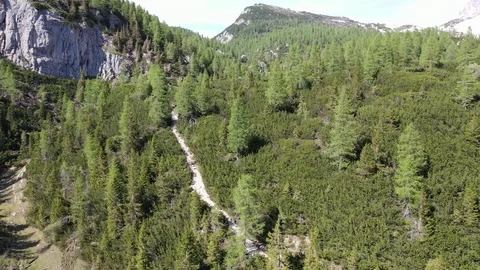 Drone flies towards the forest in the high mountains 動画素材 119154763