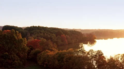 A drone flies towards a forest, a lake stretches out beside it. The trees are Stock Footage 239104516