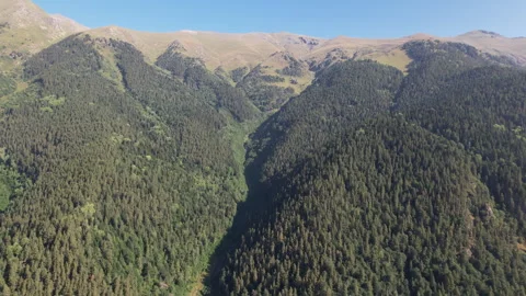 The drone flies towards a mountain on which a coniferous forest grows Vidéo 260793327