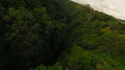 Drone flies under a road bridge Stock Footage 243011432