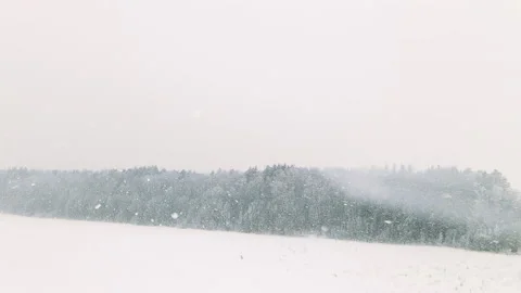 The drone flies up to the winter forest in bad Vídeo Stock 166364166