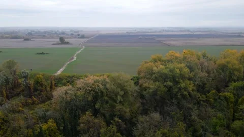 Drone flies from woods towards plain cultivated fields in cloudy day Stock Footage 263130202