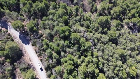 Drone fligh view van drive off with woods open up Video stock 304264056