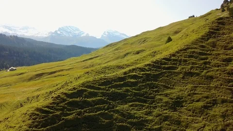Drone flight above alpine meadow in Switzerland. Stock Footage 107085503