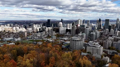 Drone flight above the autumn park with downtown skyscrapers in the background. Stock Footage 289919630