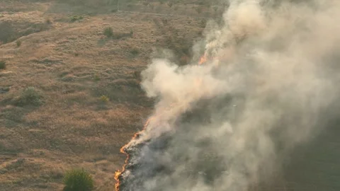 Drone Flight above of dangerous forest fire. Stock Footage 294075291