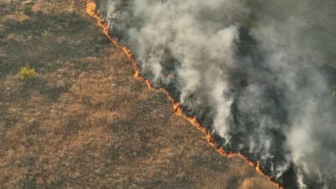 Drone Flight above of dangerous forest fire. Stock Footage 294075633