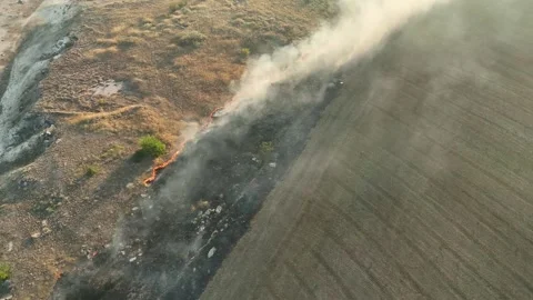 Drone Flight above of dangerous forest fire. Stock Footage 294075980