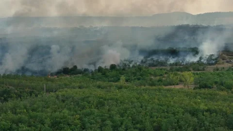 Drone Flight above of dangerous forest fire. Stock Footage 294076288