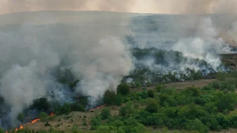 Drone Flight above of dangerous forest fire. Stock Footage 294076627