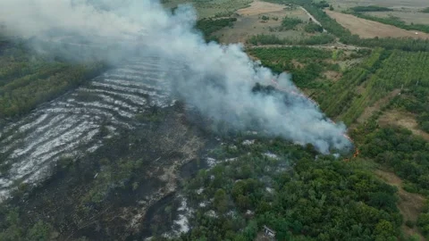 Drone Flight above of dangerous forest fire. Stock Footage 294077672