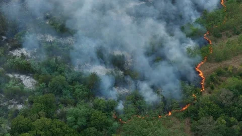 Drone Flight above of dangerous forest fire. Stock Footage 294077785