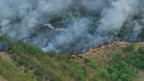 Drone Flight above of dangerous forest fire. Stock Footage 294078170