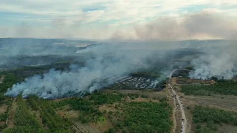 Drone Flight above of dangerous forest fire. Stock Footage 294078317