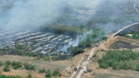 Drone Flight above of dangerous forest fire. Stock Footage 294078534