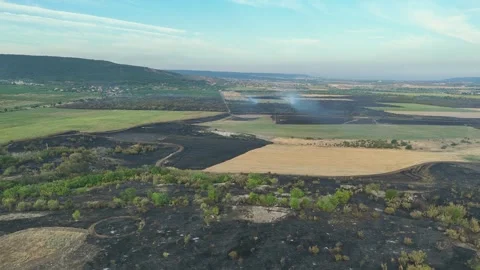Drone Flight above of dangerous forest fire. Stock Footage 294078544