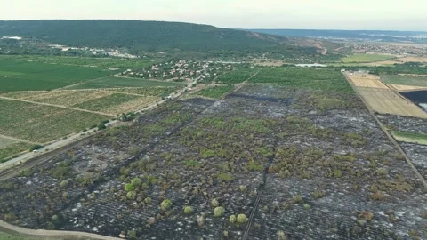 Drone Flight above of dangerous forest fire. Stock Footage 294078777