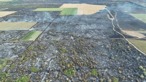 Drone Flight above of dangerous forest fire. Stock Footage 294078882