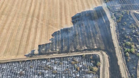Drone Flight above of dangerous forest fire. Stock Footage 294079274