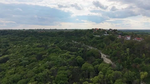 Drone Flight Above Dense Green Forest And Rolling Hills Landscape Nature Видео 335067308