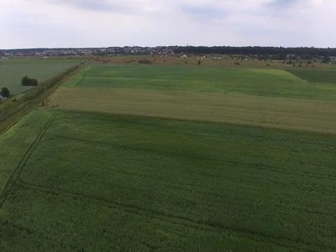 Drone flight above the fields Stock Footage 85087486