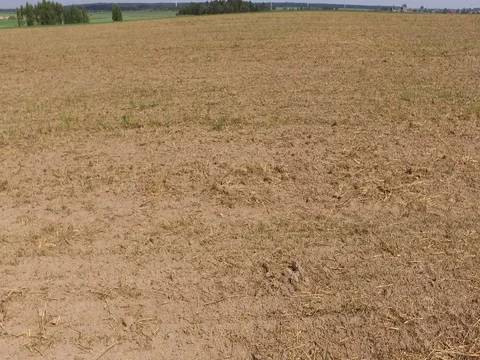 Drone flight above the fields Stock Footage 85088711