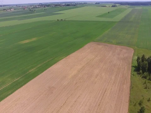 Drone flight above the fields Stock Footage 85088745