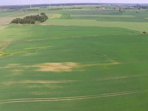 Drone flight above the fields Stock Footage 85088810