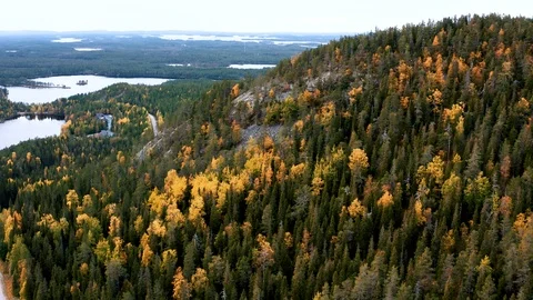 Drone flight above a forest and mountains in autumn fall colors in Finland  Stock Footage 117894547
