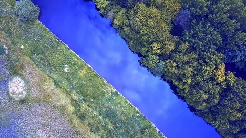 Drone flight above forest arial view clip Stock Footage 112148013