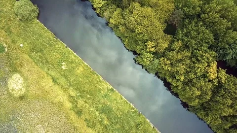 Drone flight above forest arial clip view Video stock 112150353