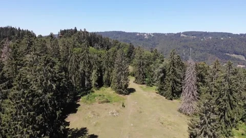 Drone flight above forest Video stock 138385438