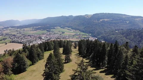 Drone flight above forest Video stock 138385458