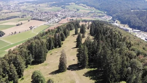 Drone flight above forest Video stock 138385632