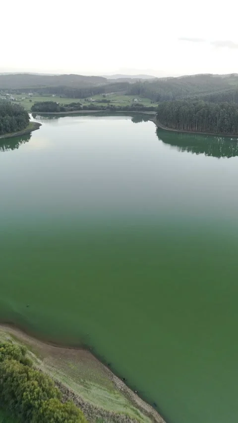 Drone flight above lagoon and trees during golden hour Stock Footage 323952553