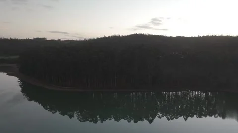 Drone flight above lagoon and trees during golden hour Stock Footage 323954099