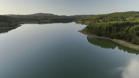 Drone flight above lagoon and trees during golden hour Stock Footage 323955344
