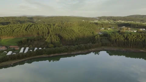 Drone flight above lagoon and trees during golden hour Stock Footage 323955525