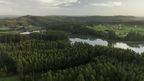 Drone flight above lagoon and trees during golden hour Stock Footage 323955637