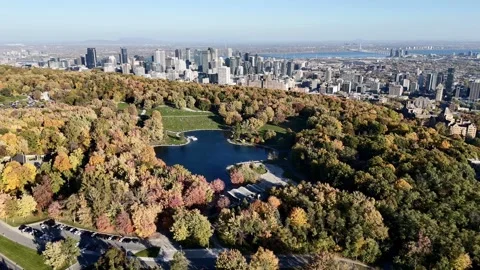 Drone flight above the lake and autumn park with downtown skyscrapers in the Stock Footage 289914028