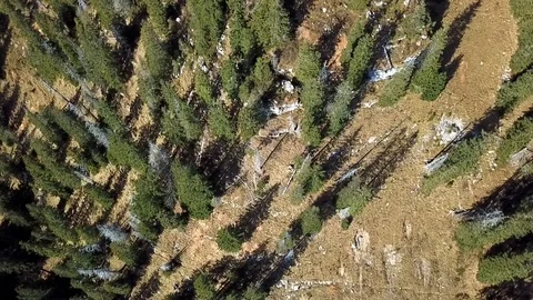 Drone flight above mountain with forest in Swiss alps. Stock Footage 107086943