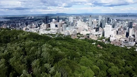 Drone flight above the park and skyscrapers in the background. Mont-Royal park, Stock Footage 299664584