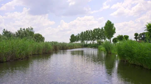 Drone flight above pond bordered with reeds in cloudy day Stock Footage 262971301