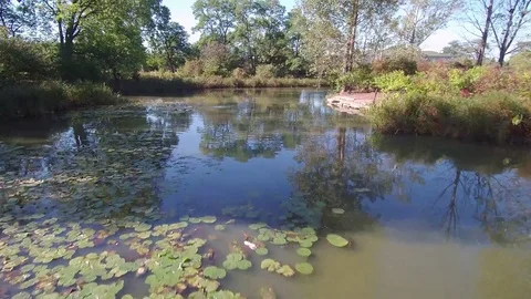 Drone flight above a pond in Chicago Stock Footage 84809218