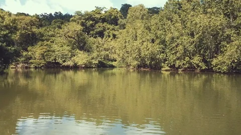 Drone flight above the river Stock Footage 100763903