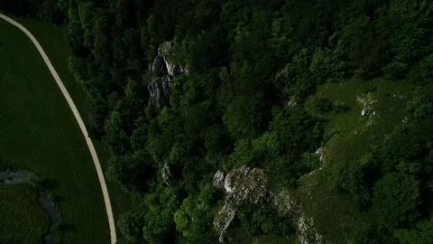 Drone Flight above Rocks in Forest - Swabian Alb Stock Footage 112036069