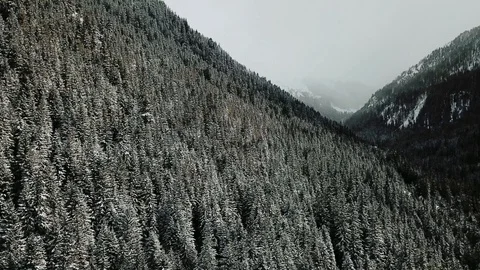 Drone flight above snow covered fir forest in winter. Stock Footage 107087903